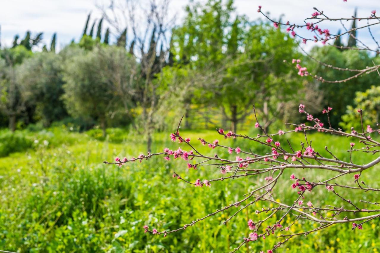 Вилла Traumhafte Finca Son Senyor - Mit Pferdekoppel Са-Побла Экстерьер фото
